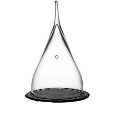 Крышка Fromage для артикула 28106, D200 мм, H350 мм, хрустальное стекло, Nude