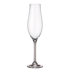 Набор из 2-х бокалов для шампанского VIREO, 200 мл, Crystal Bohemia