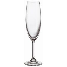 Набор из 2-х бокалов для шампанского SYLVIA, 220 мл, Crystal Bohemia
