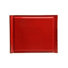 Блюдо для стейка 32х26 см, Seasons Красный, Porland