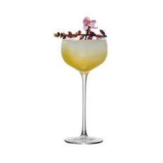 Набор из 6-ти бокалов для коктейля "Aster", серия Cocktail Week, 160 мл, P.L. Proff Cuisine