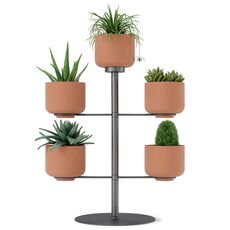 Подставка для цветов Terrapotta с горшками 5 шт, titanium, Umbra