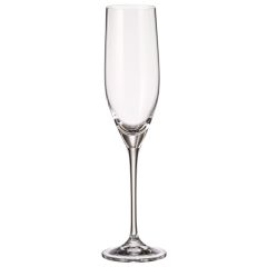 Набор из 6-ти бокалов для шампанского SITTA, 240 мл, Crystal Bohemia