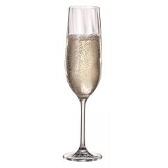 Набор из 2-х бокалов для шампанского CREX OPTIC, 270 мл, Crystal Bohemia
