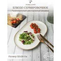 Блюдо овальное 32х20 см, Seasons Бежевый, Porland