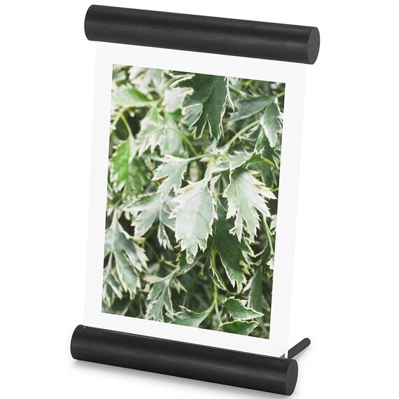 Фоторамка Scroll, 14х18 см, черная, Umbra
