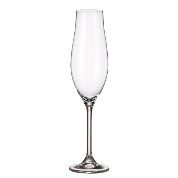 Набор из 2-х бокалов для шампанского VIREO, 200 мл, Crystal Bohemia