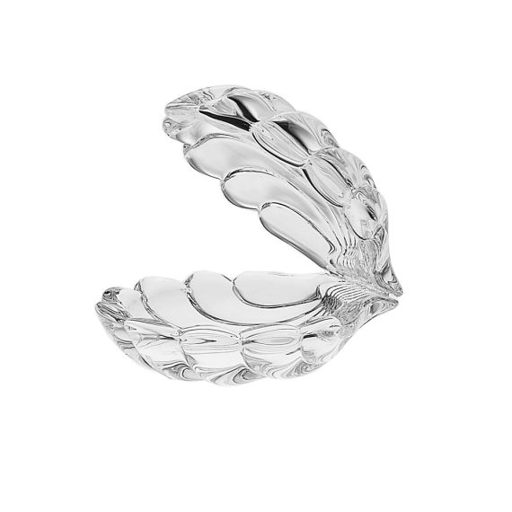 Доза Ракушка, 9 см, Crystal Bohemia