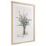 Панно декоративное Plant, 50х70 см, Bergenson Bjorn, изображение 2
