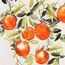 Панно декоративное Juicy orange, 70х100 см, Bergenson Bjorn, изображение 11