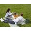 Термосумка для пикника Smart Picnic, L, горчичная, Smart Solutions, изображение 11